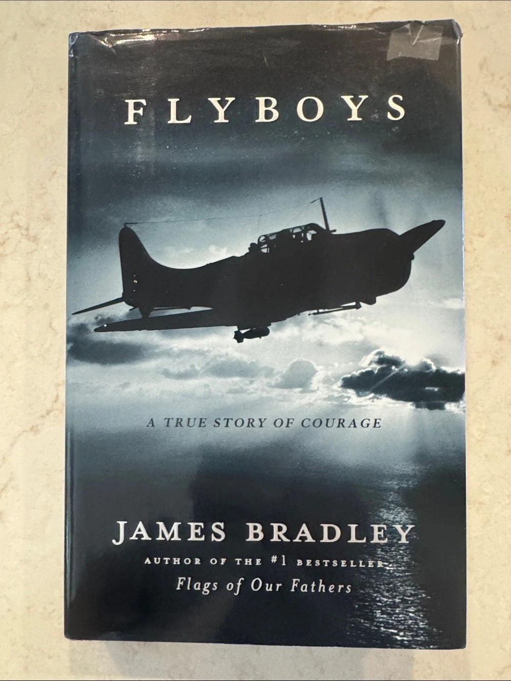 Little, Brown and Company Flyboys Hardcover Book